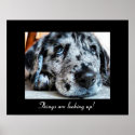 Things are looking up! posters