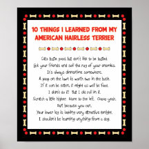 Things I Learned From My American Hairless Terrier Posters