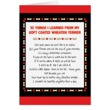 Things I Learned From Soft Coated Wheaten Terrier Greeting Cards