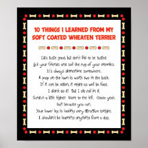 Things I Learned From Soft Coated Wheaten Terrier Print
