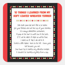 Things I Learned From Soft Coated Wheaten Terrier Square Stickers