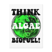 Think algae biofuel!