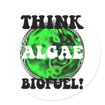 Think algae biofuel!