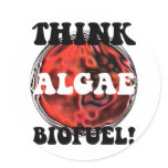 Think algae biofuel stickers