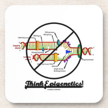 Think Epigenetics! (Cross Out DNA Replication) Beverage Coasters