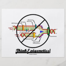 Think Epigenetics! (Cross Out DNA Replication) Full Colour Flyer