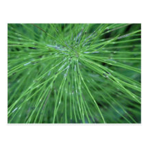 Think Green! by GRASSROOTSDESIGNS4U Post Cards