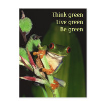 Think Green postcards