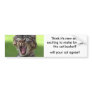 Think it's new and exciting.... bumper stickers