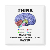 Think Make The Neuronal Connections Happen (Brain)