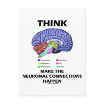 Think Make The Neuronal Connections Happen (Brain)