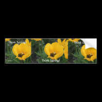 Think Spring! bumper stickers