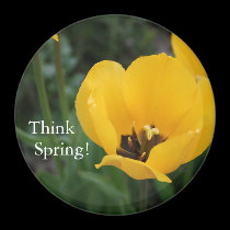Think, Spring! magnets