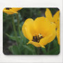 Think Spring Mousemat