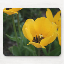 Think Spring mousepads