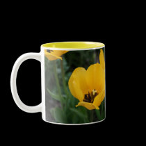 Think, Spring! mugs