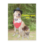 Thinking About You postcards