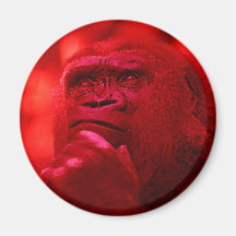 Thinking Gorilla Magnet