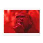 Thinking Gorilla postcards