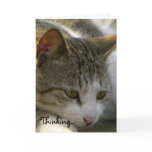 Thinking....Kitten Love/Valentine Greeting Card