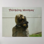 Thinking Monkey posters