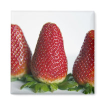 Thinking of strawberries, magnet