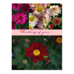 Thinking of you (and sending flowers...) postcards