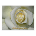 Thinking of you/ Any Occasions_Postcard