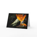 THINKING OF YOU Bird-of-Paradise Card