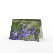 Thinking of you bluebells in the wood greeting card