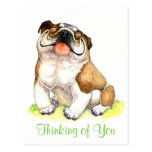 Thinking of  You Bulldog Puppy  Greeting Postcard