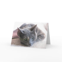 Thinking of you card