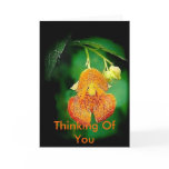 Thinking Of You Greeting Card