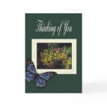 thinking of You cards