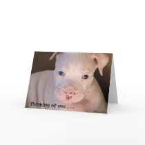 Thinking of you . . . greeting card