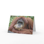 Thinking of you cards