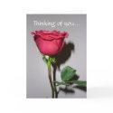Thinking of you... cards