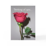 Thinking of you... cards