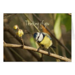 Thinking of you greeting card