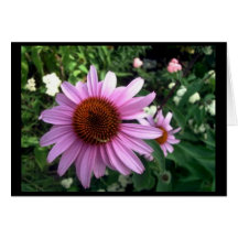 Thinking of you card