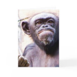 Thinking of You_ Card_by Elenne