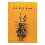 Thinking of you cards