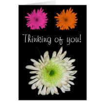 Thinking of you! cards