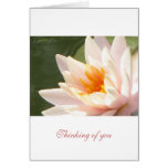 Thinking of you cards