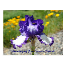 Thinking of You Dearest Friend! postcard Friends