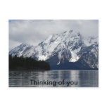 Thinking of you, Grand Teton National Park Postcard