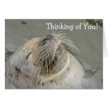Thinking of You! Greeting Card