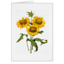 Thinking of You Greeting Card