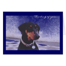 Thinking of you... greeting card
