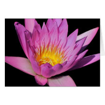 Thinking of You Greeting or Note card #7  70